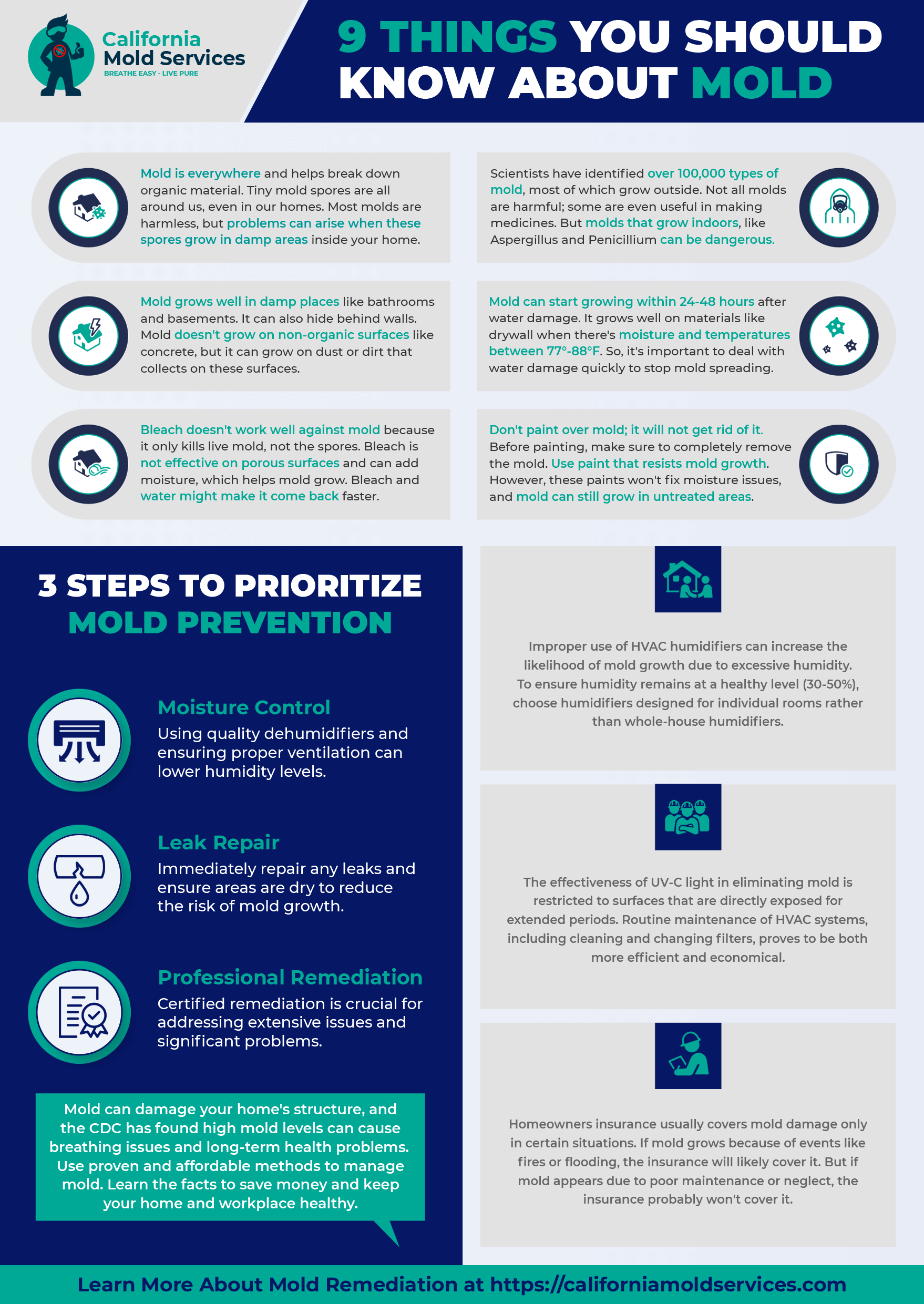 Infographic: 9 Things You Should Know About Mold