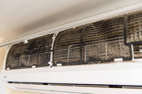 Mold-Free Environment (Air Conditioning)