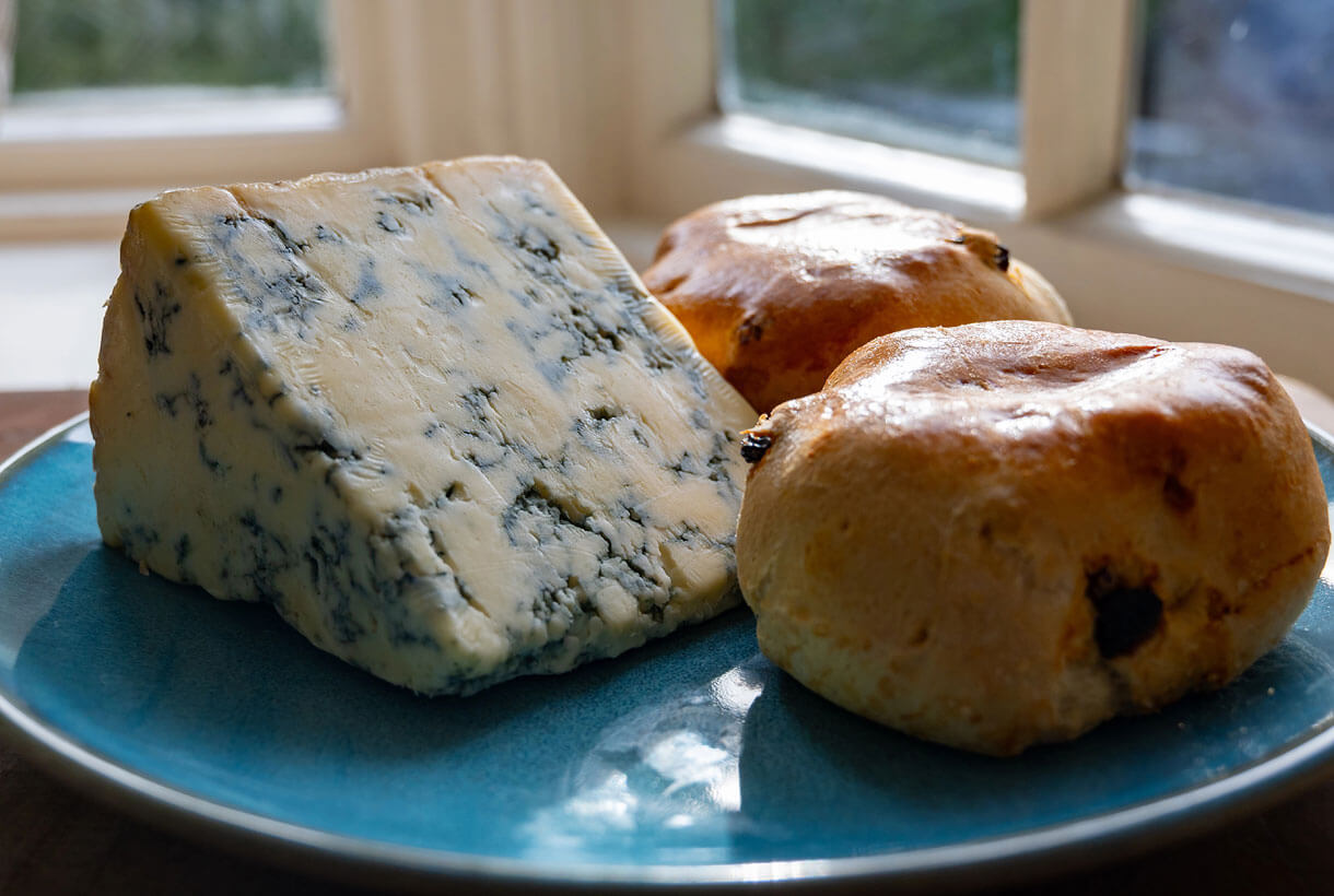 Mold Spores in Cheese (penicillium roqueforti)