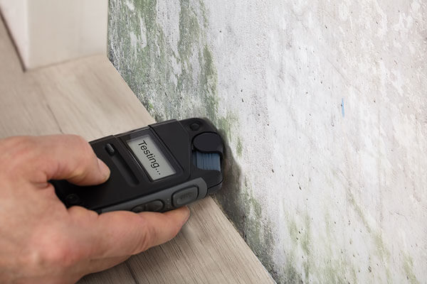 Mold Inspection: Identifying the Root Cause