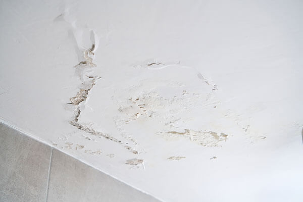 Water Damage: Let the Professionals Help